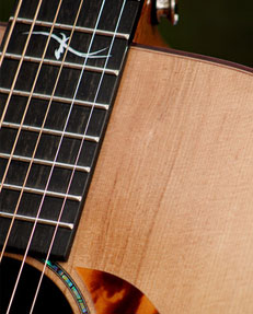 Guitar top